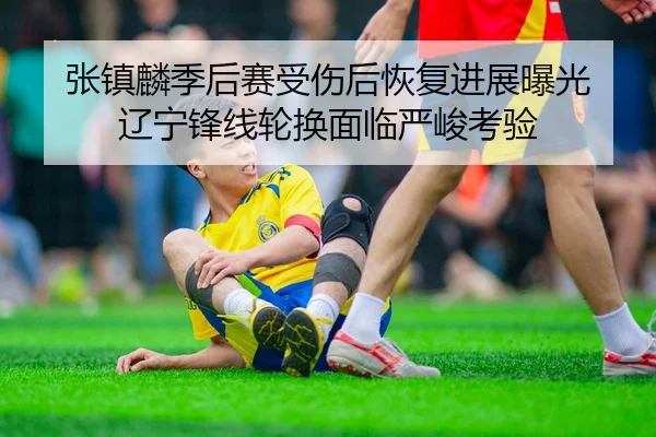 张镇麟季后赛受伤后恢复进展曝光 辽宁锋线轮换面临严峻考验